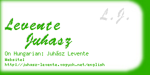 levente juhasz business card